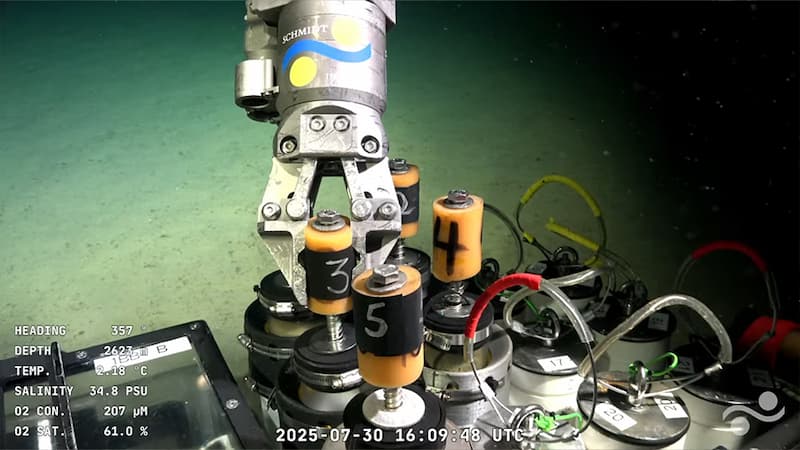 Se emplea el vehículo operado remotamente (ROV) SuBastian, capaz de capturar imágenes submarinas en ultra alta definición y recolectar muestras sin alterar el entorno. / CONICET