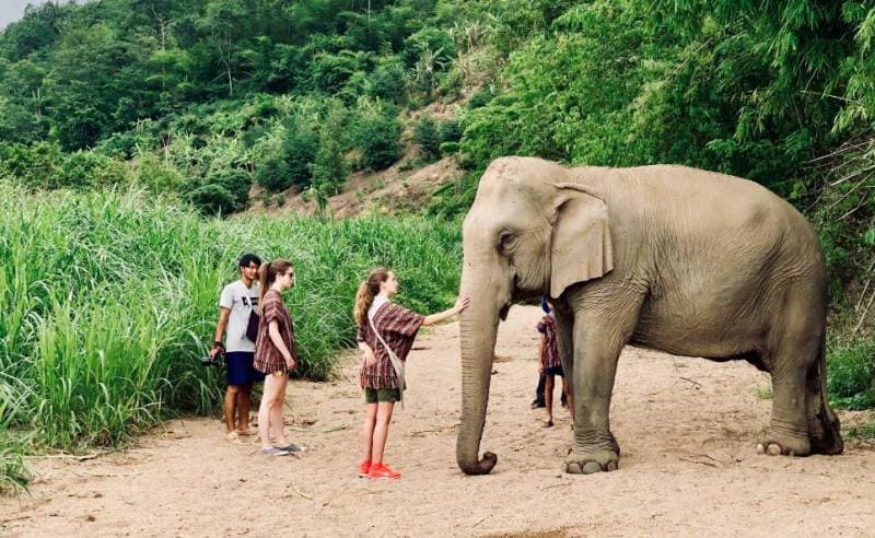 Unos turistas interactúan con un elefante asiático en el Karen Elephant Sanctuary en Chiangmai (Tailandia). En este centro no está permitido subir sobre los animales. / Ángel Montesinos