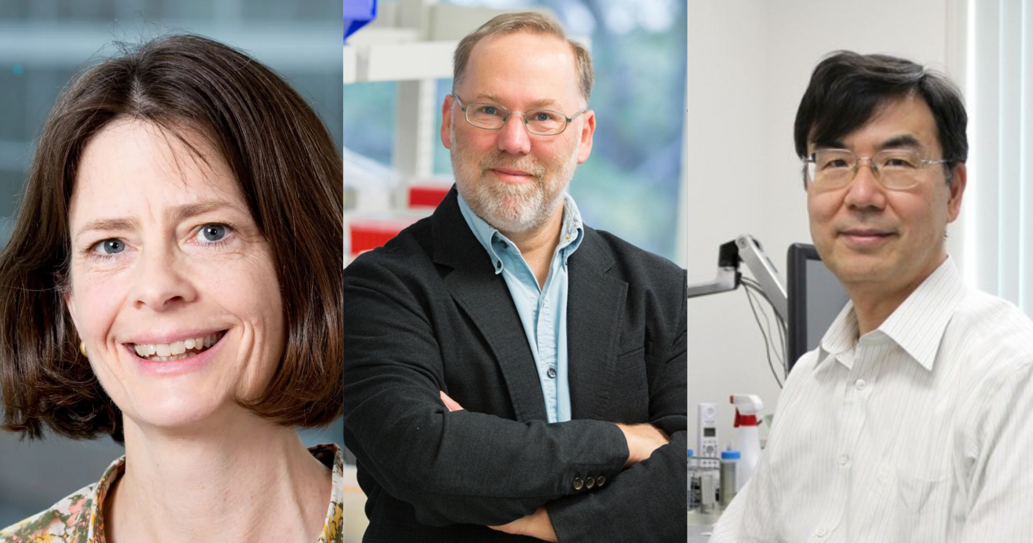 Brunkow, Ramsdell y Sakaguchi ganan el Nobel de Medicina 2025 por sus hallazgos sobre el sistema inmunitario