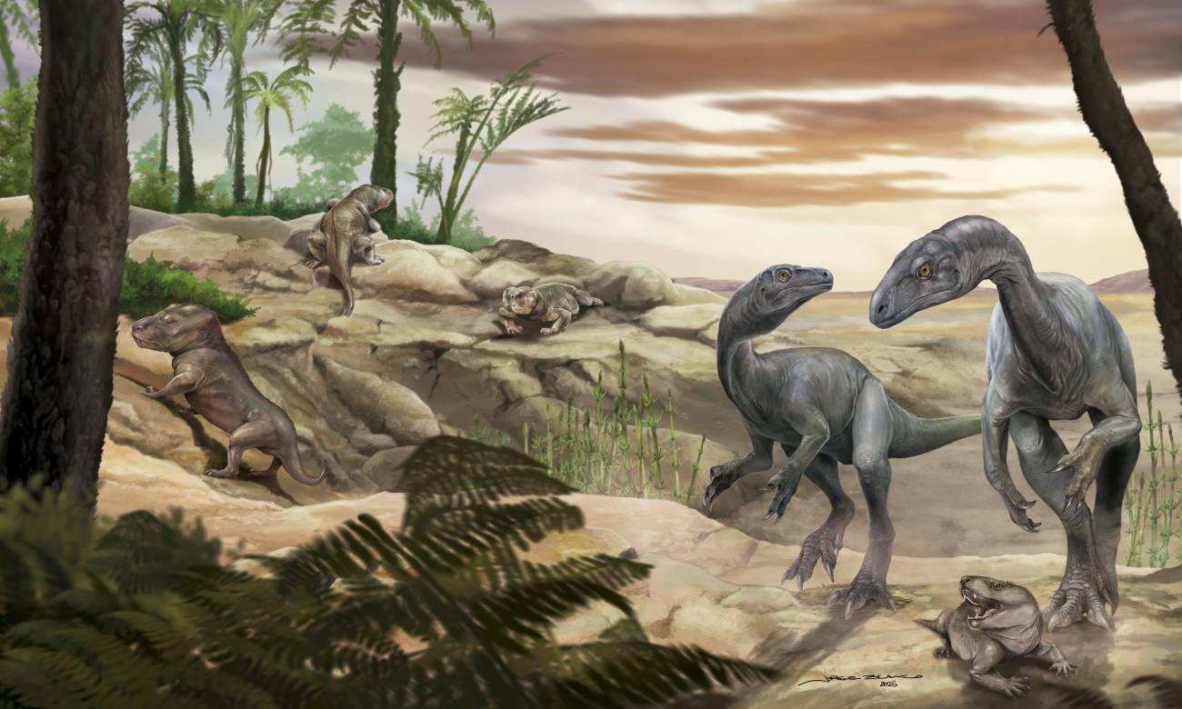 Cómo los dinosaurios desarrollaron cuerpos enormes y cuellos largos