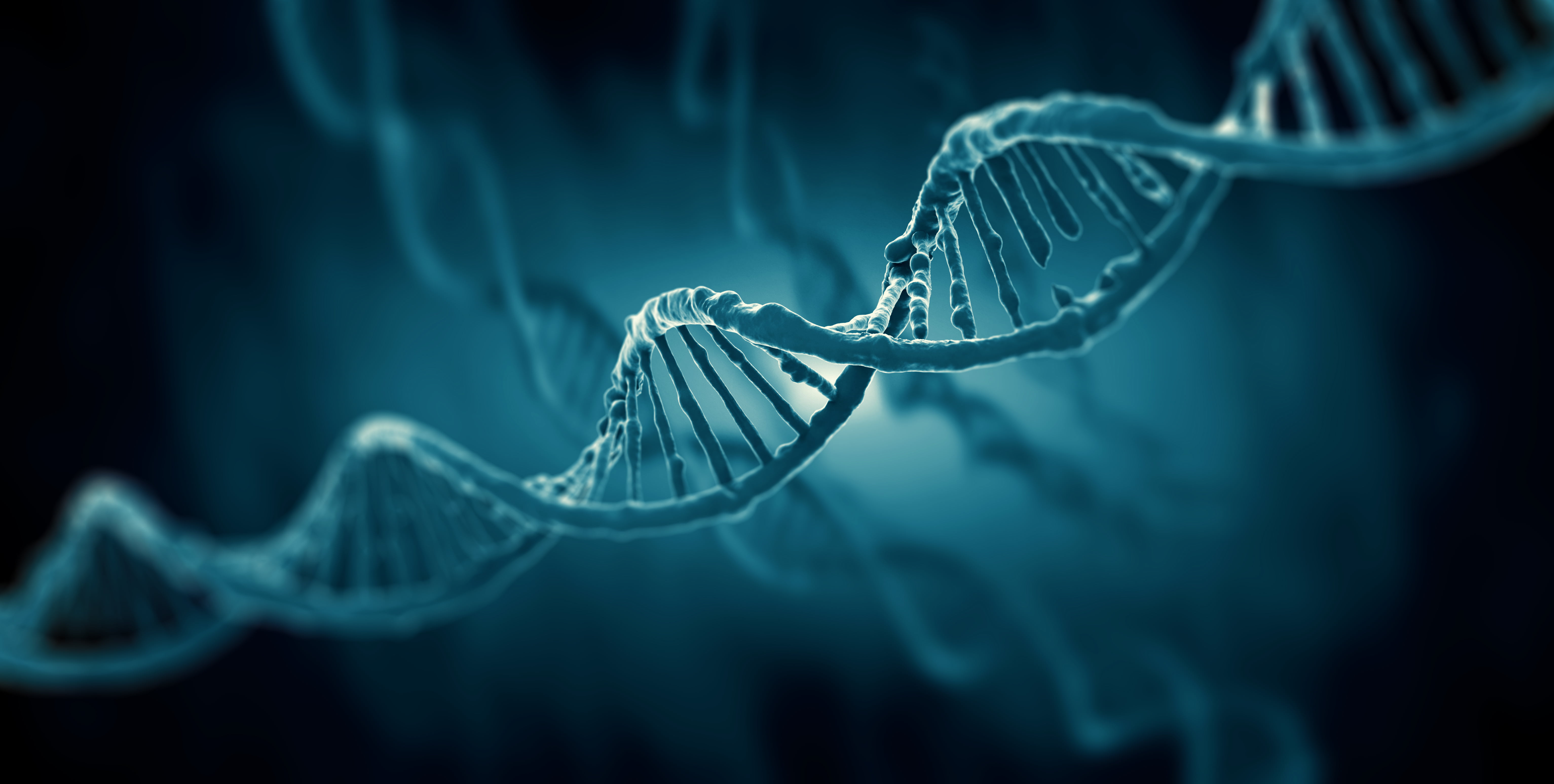 Crean un mapa de más de 92 millones de elementos del ADN que controlan los genes humanos