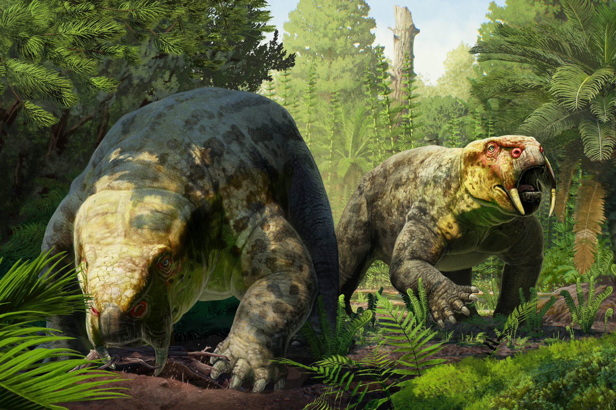 Descubierta en Tanzania una nueva especie de animal prehistórico de hace 240 millones de años