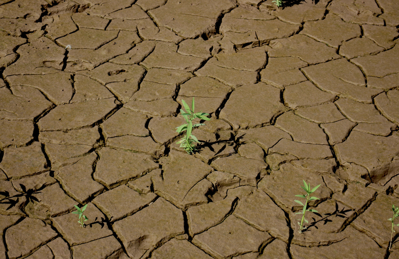 El mundo entra en ‘bancarrota hídrica’, según un informe de la ONU