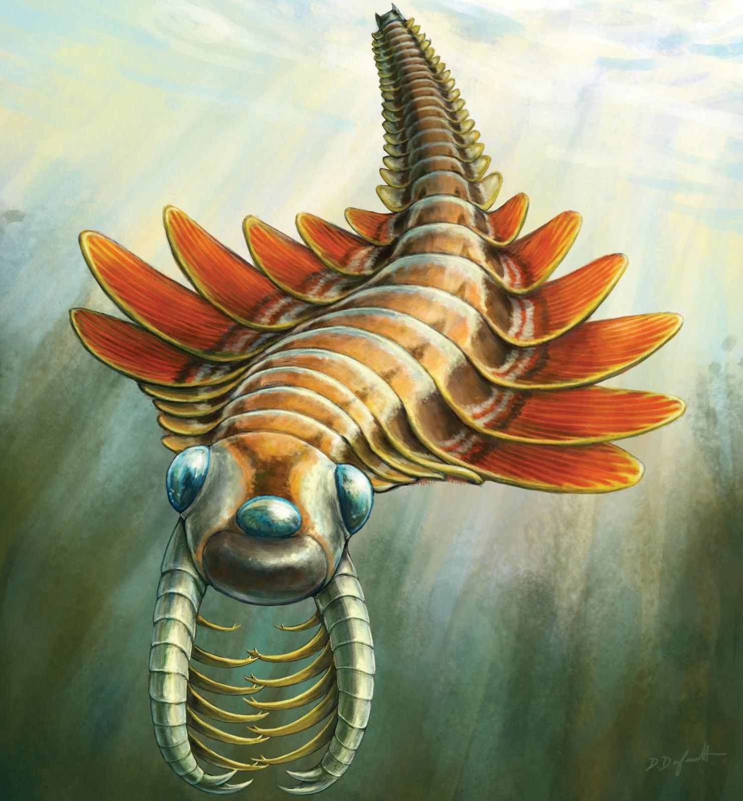 Este pequeño depredador vivió hace unos 500 millones de años y tenía tres ojos