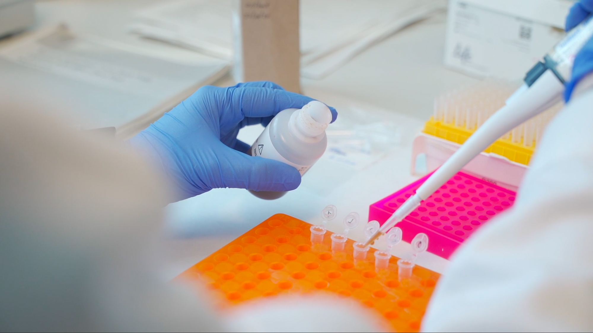 Identifican biomarcadores que señalan el inicio de la transición a la menopausia