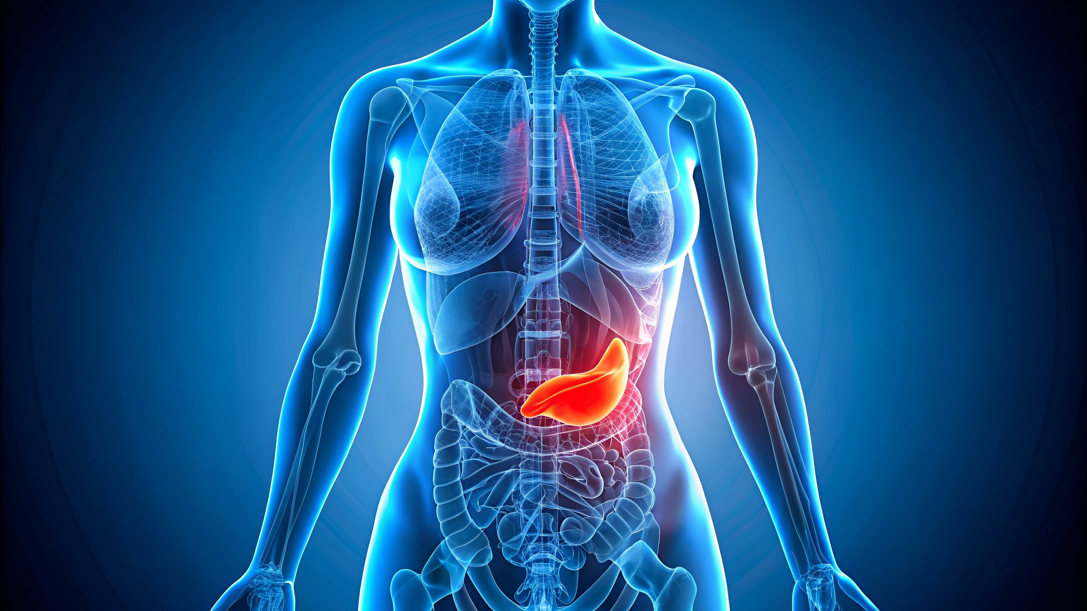 Identifican una de las claves de la alta agresividad del cáncer de páncreas