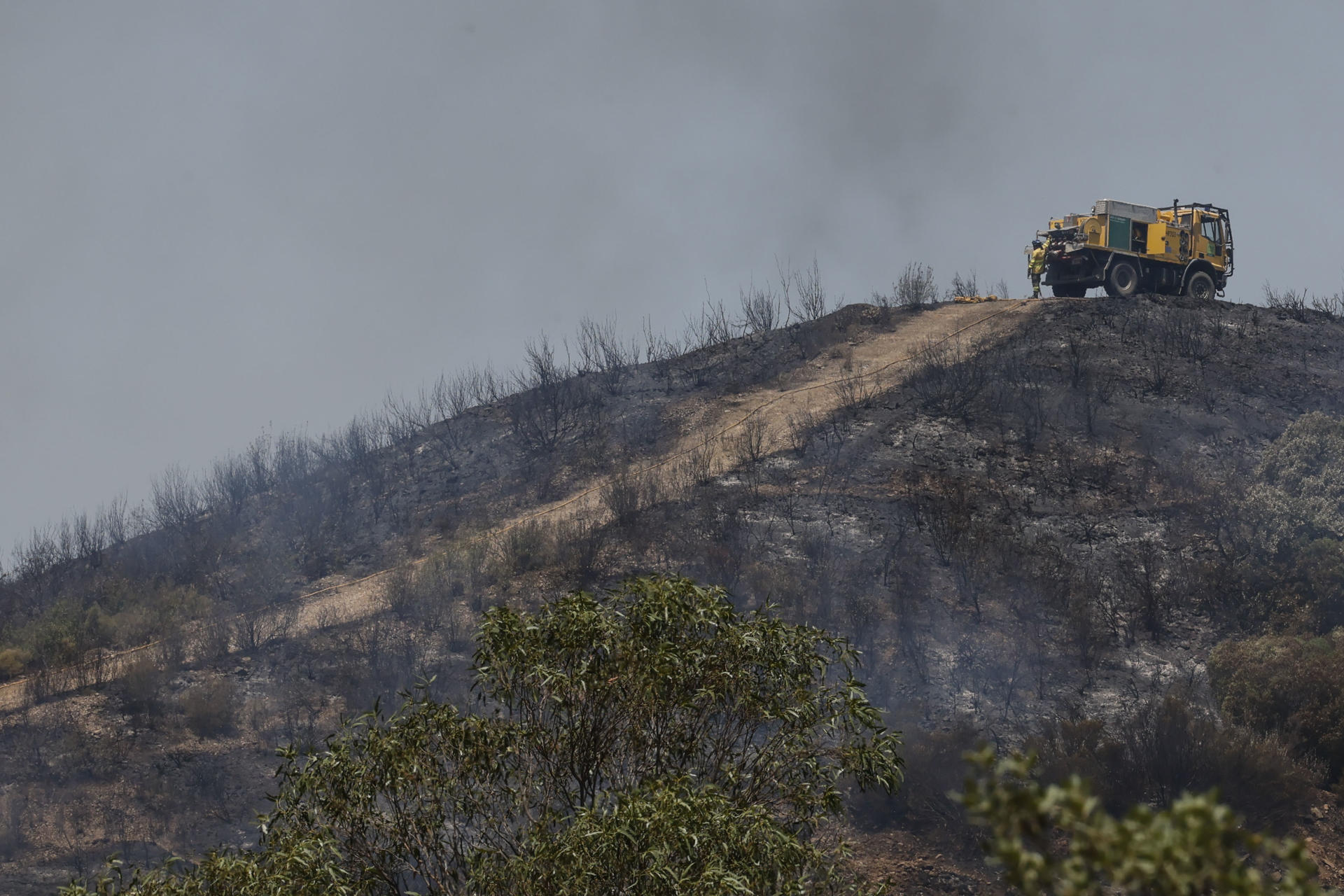 Ingenieros forestales piden tener en cuenta el riesgo de incendios el día del eclipse