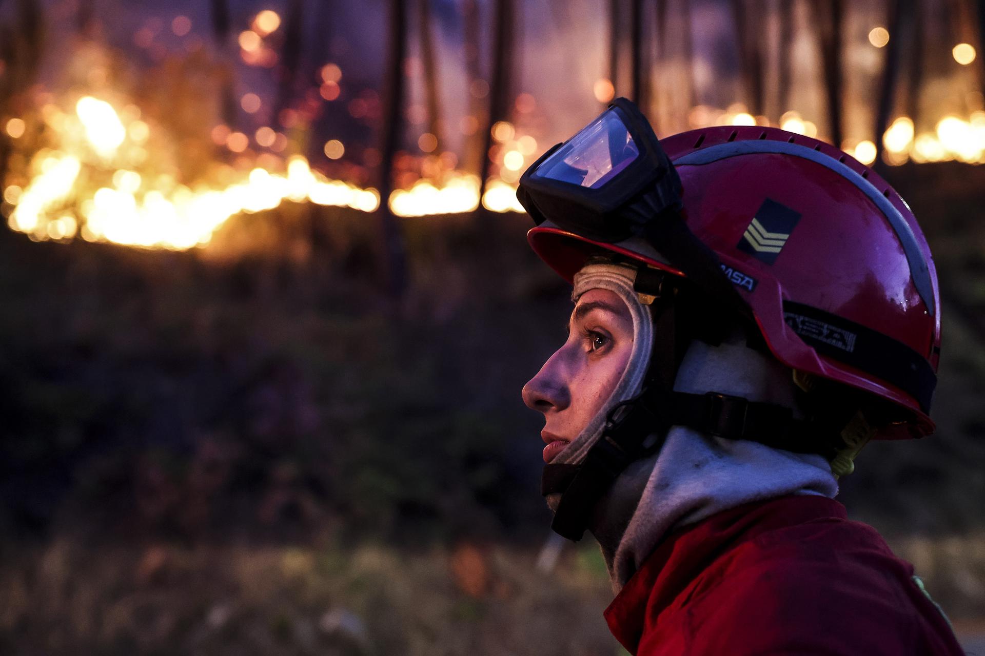 La frecuencia y el coste de los incendios forestales se disparan en cuatro décadas 