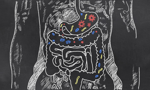 La microbiota intestinal, un factor de riesgo en el desarrollo de diabetes 1