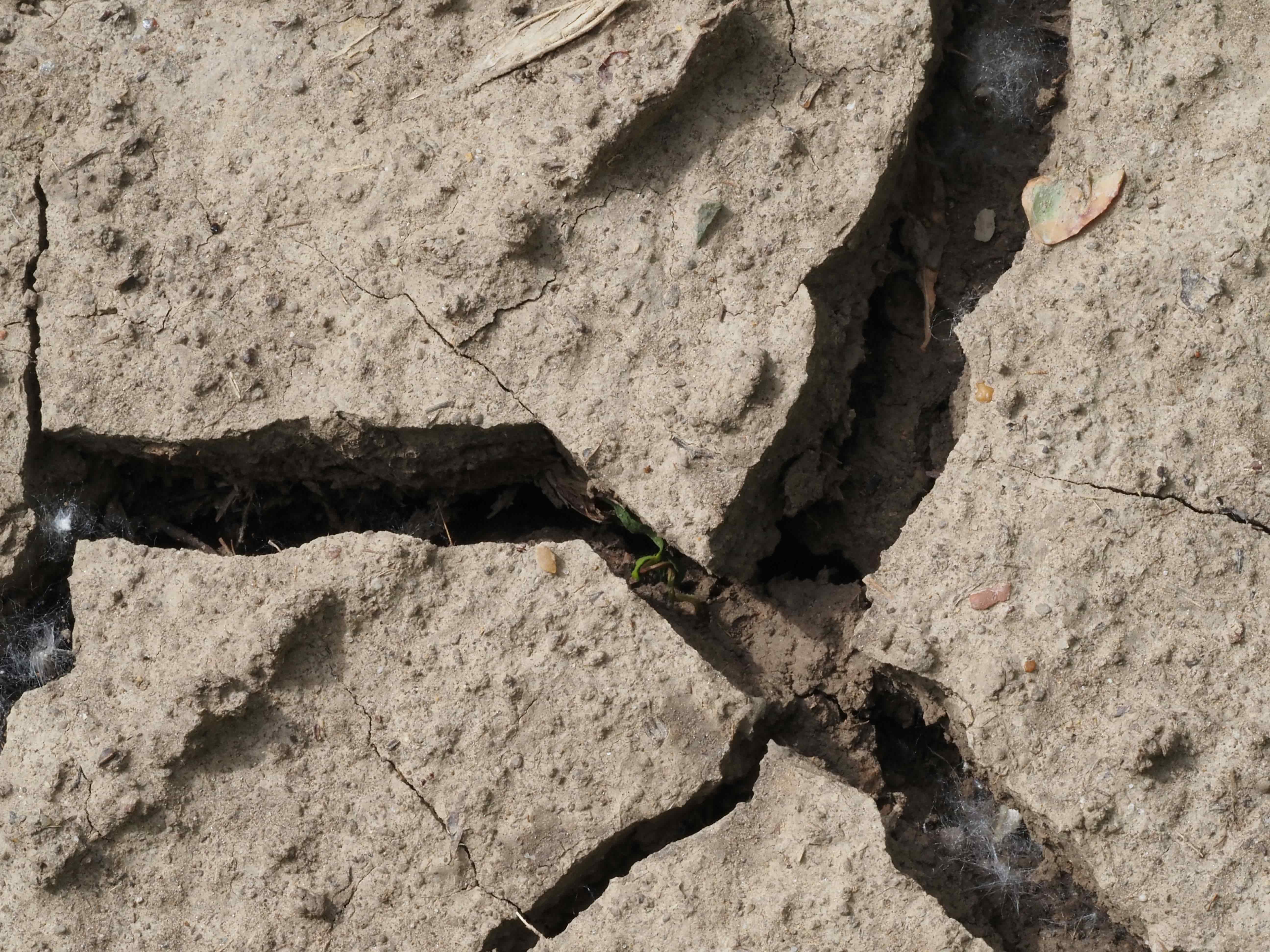 La península ibérica también está en riesgo de sufrir terremotos, lo que no se sabe es cuándo ocurrirán