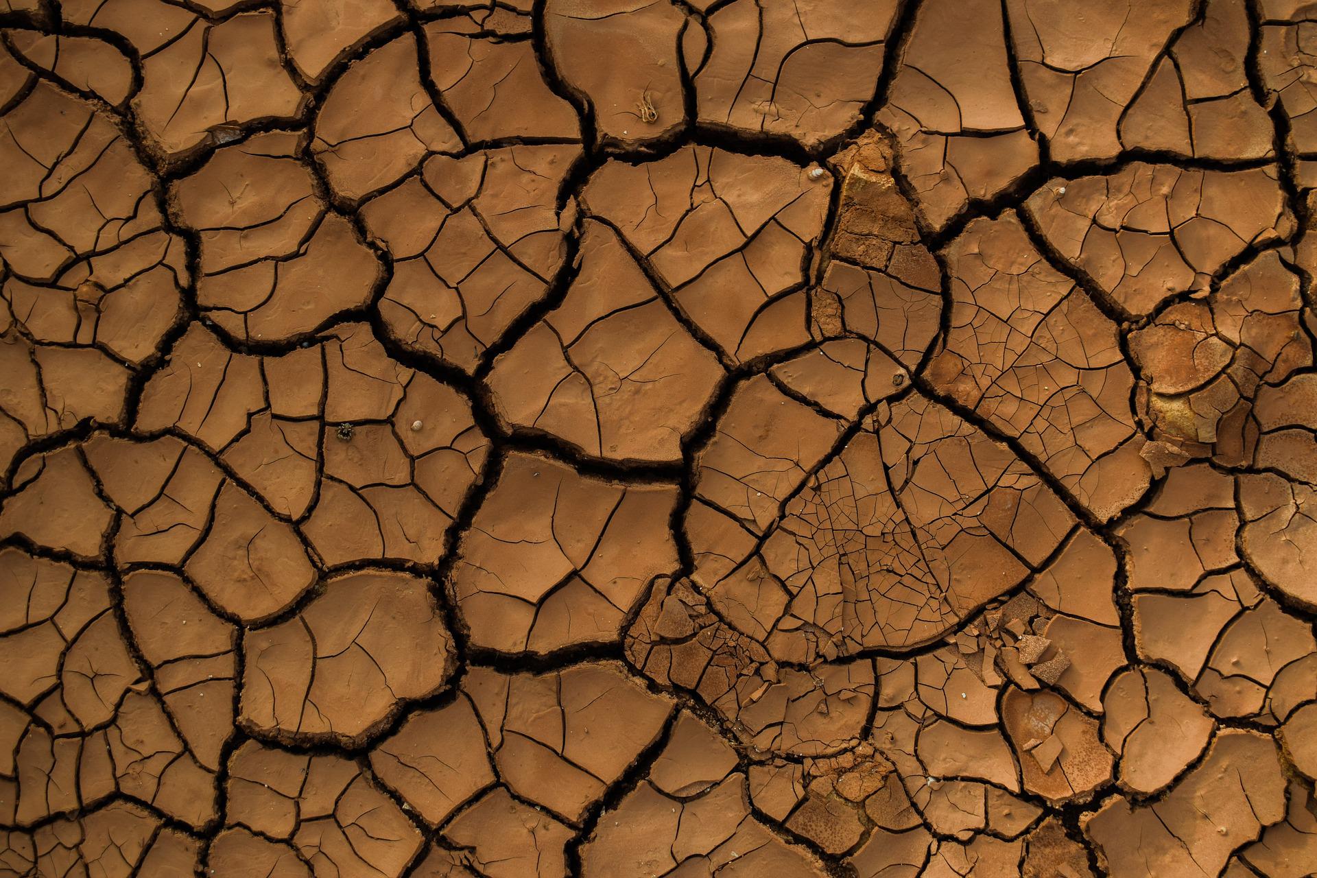 Las zonas húmedas de la Tierra podrían descender un 74 % para finales de siglo