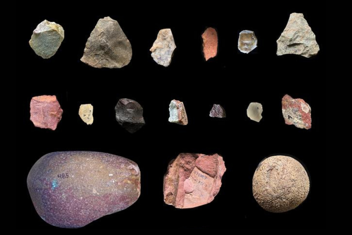 Los homínidos transportaban piedras a largas distancias antes de lo esperado