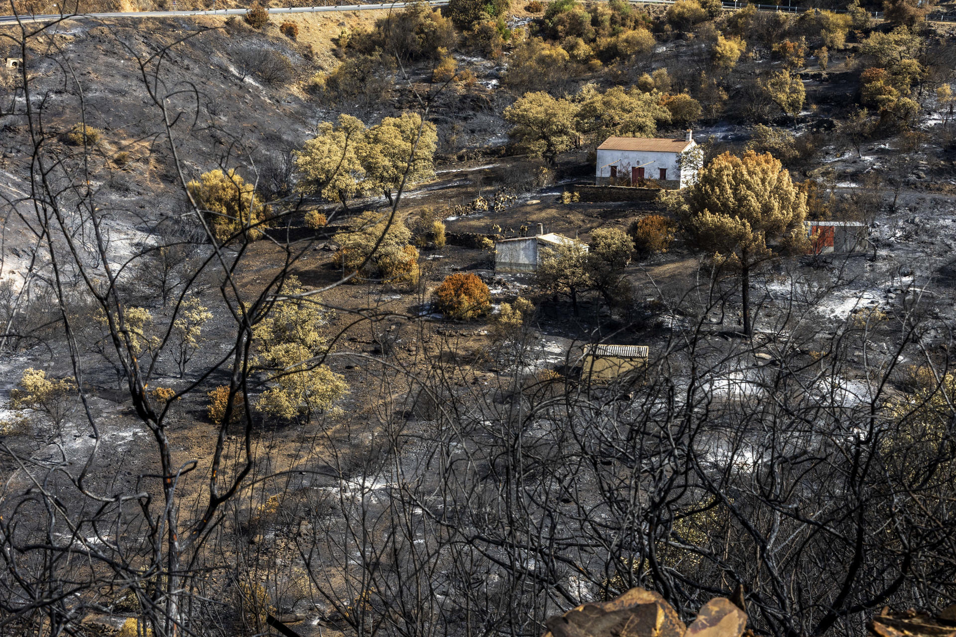 Los incendios forestales podrían quemar hasta un 192 % más de superficie en Europa a finales de siglo