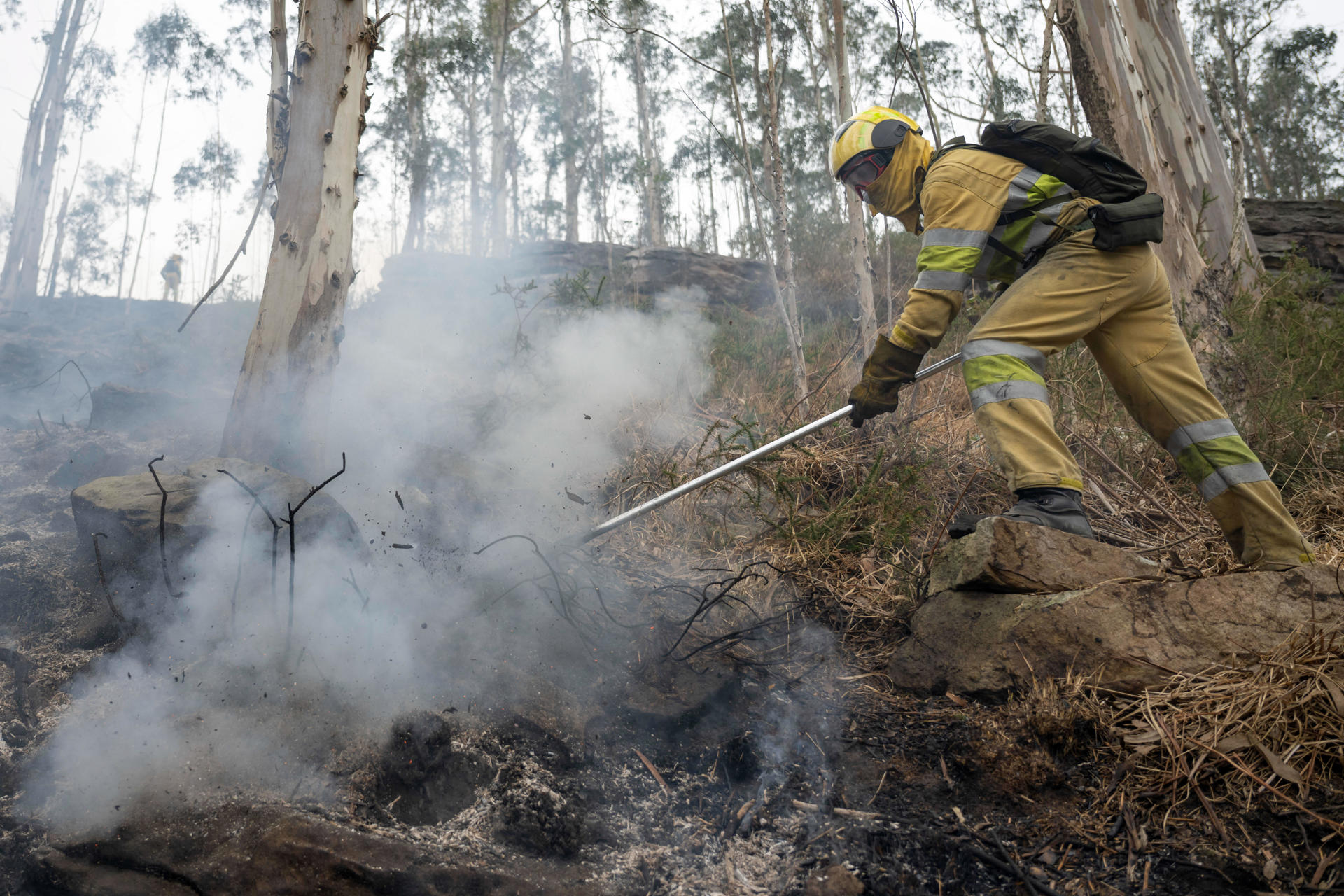 Los incendios y las plagas forestales podrían duplicarse en Europa antes de finales del siglo XXI