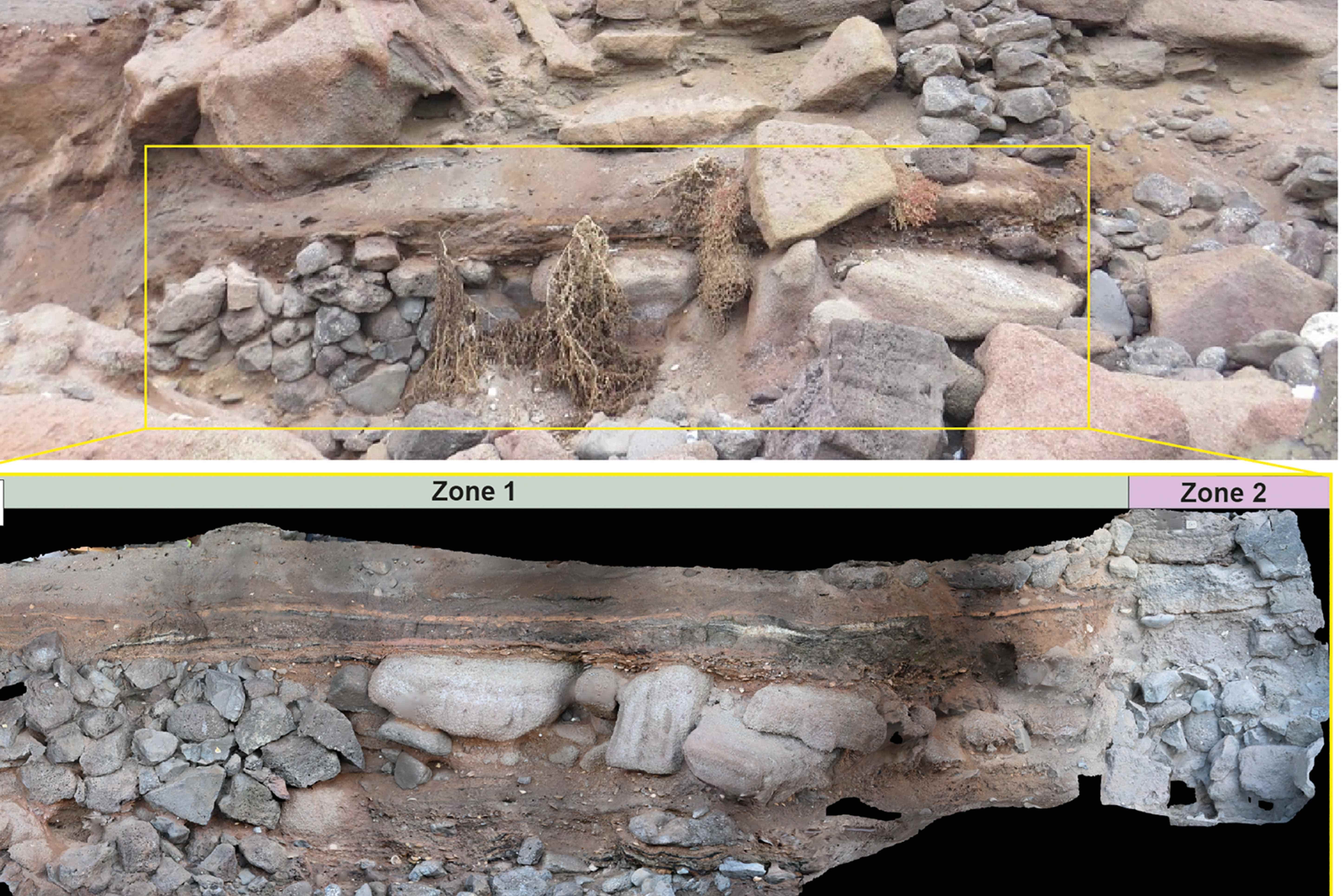 Restos arqueológicos en Canarias muestran la adaptación norteafricana a la vida oceánica