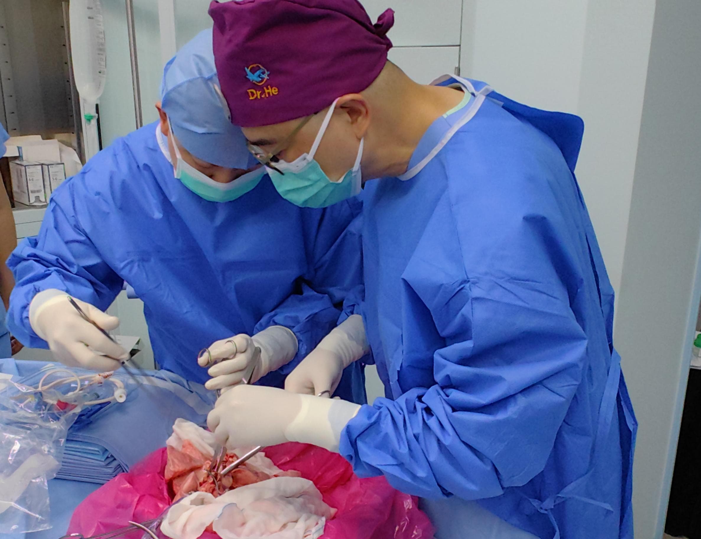 Trasplantan por primera vez un pulmón de cerdo a una persona en muerte cerebral