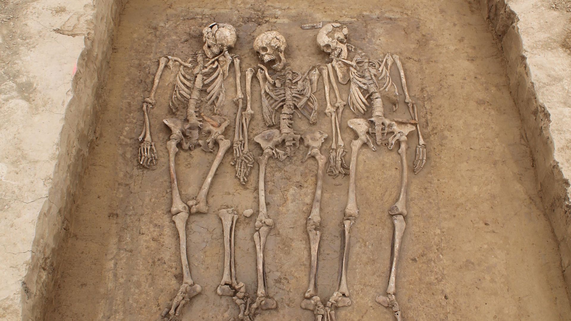 Un análisis genómico revela los cambios que marcaron a los europeos durante la caída del Imperio romano