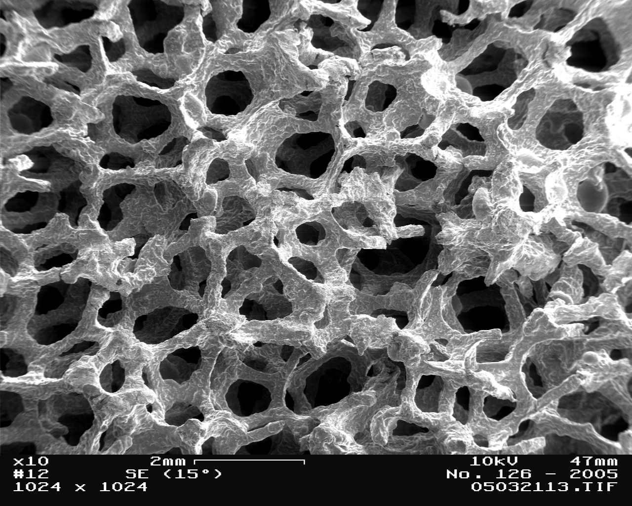 Espuma metálica en el microscopio electrónico