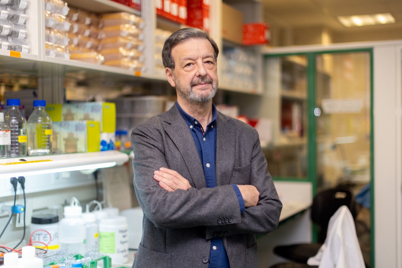 Una nueva inmunoterapia contra el mieloma múltiple es más efectiva que la CAR-T