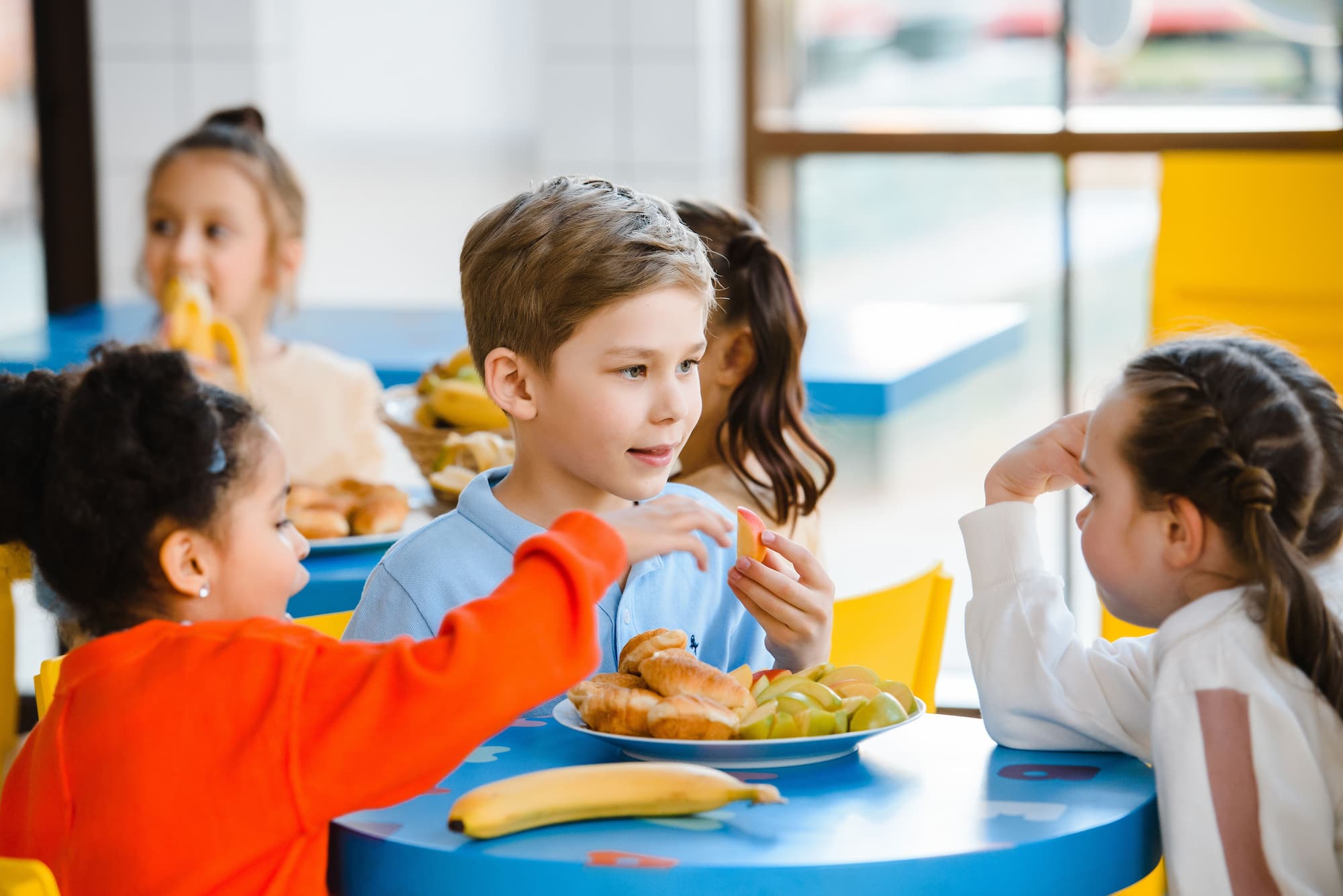 Comedores escolares saludables y sostenibles: ¿qué hace falta para que se pueda cumplir la ley?
