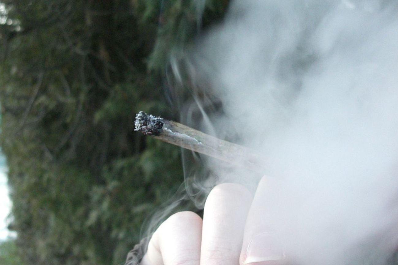 El cannabis que se fuma hoy es tres veces más tóxico que hace una década