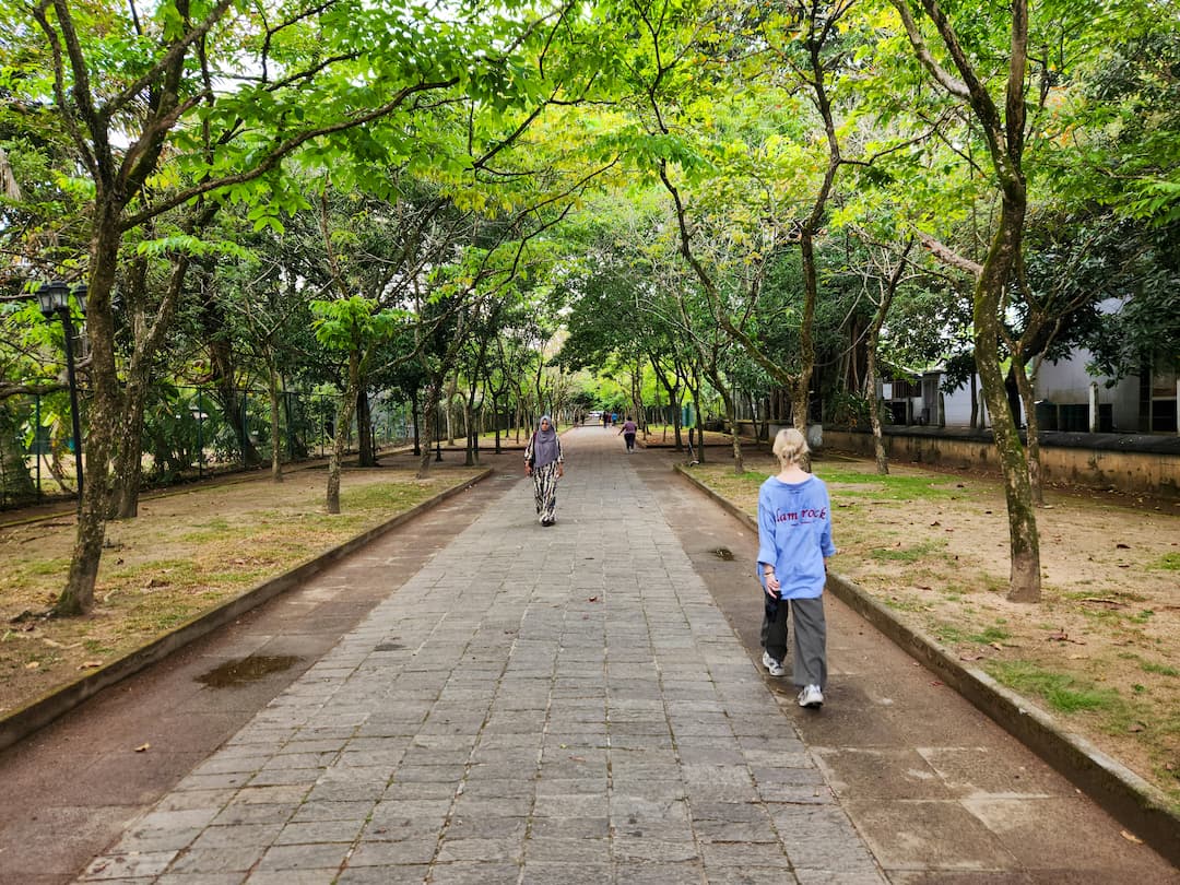 La prevención contra la obesidad comienza por el diseño de las ciudades