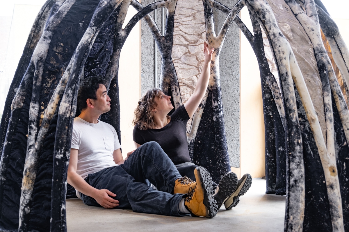 Los hogares del futuro pueden estar construidos a base de hongos