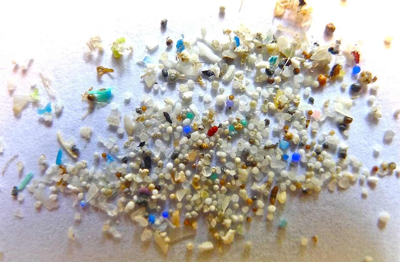 Los microplásticos lo contaminan todo. Pero ¿sabemos cuál es su daño ambiental?