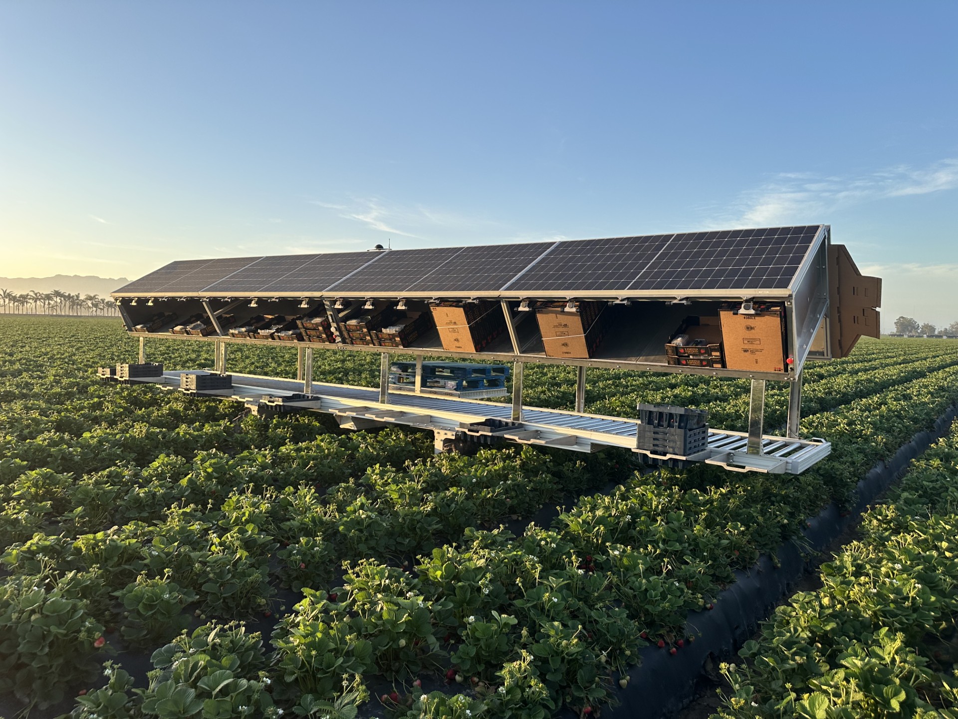 Robots agricultores y ganaderos armados de inteligencia artificial, así son las granjas del futuro Robots agricultores y ganaderos armados de inteligencia artificial, así son las granjas del futuro